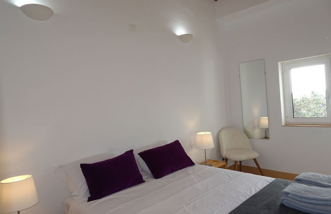 CIP V8 Gold - New!!! - Foto 13