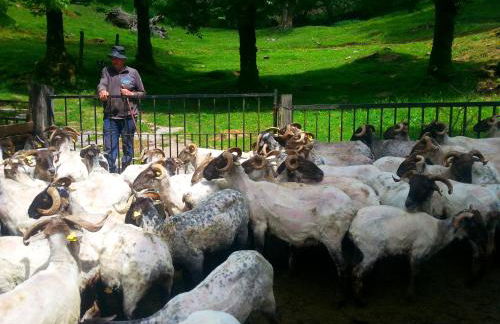 CASA RURAL Urruska - Foto 62