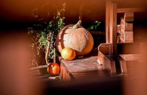 Dulakówka - domek na każdą pogodę - Foto 11