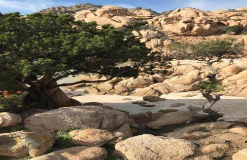 Apartment in Sardinia with Sea View - Photo 56