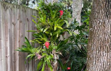 WATERFRONT Kayakers Dream nature lover cottage - Photo 50