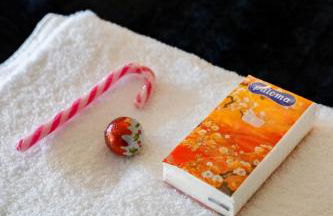 Victory House - Foto 40