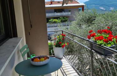 Le peonie - Photo 20