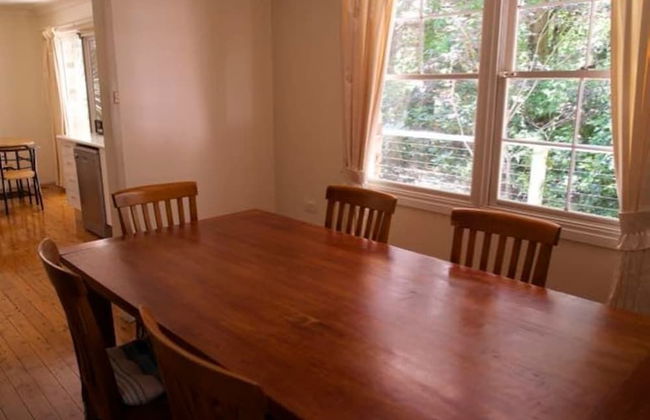 Leura Camellias - Photo 5