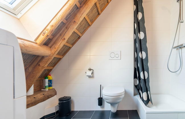 Farmhouse in Staphorst With Sauna - Photo 19