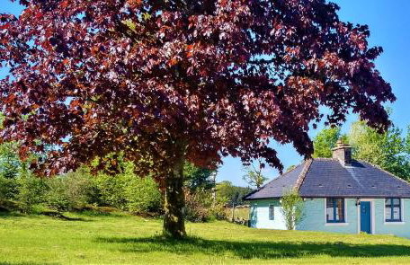 Courtyard Cottage - Foto 3