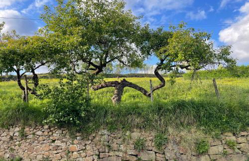 GURAH Boutique Apartments - Foto 48