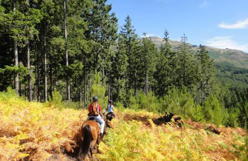 Treehouse Quinta Lamosa - Foto 44