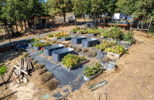 Happenstance Vineyards King Rooms - Foto 35