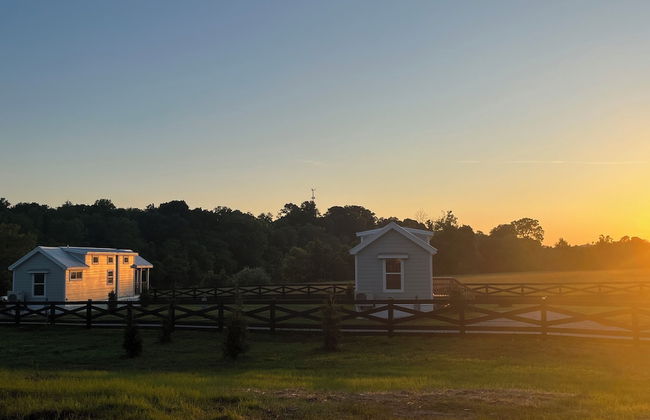 Circle T Mini Farms - Foto 16