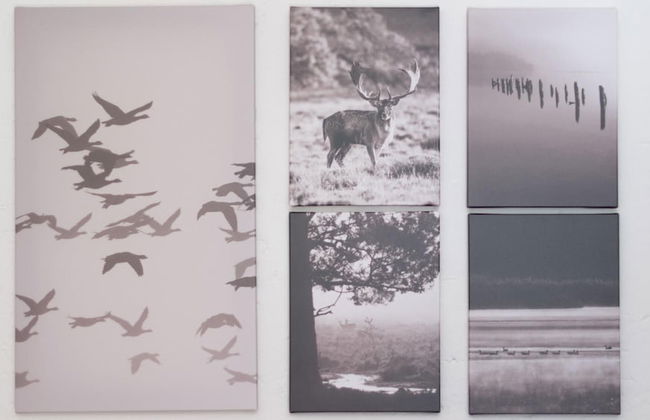 Italianway - San Gallo 16 - Foto 48