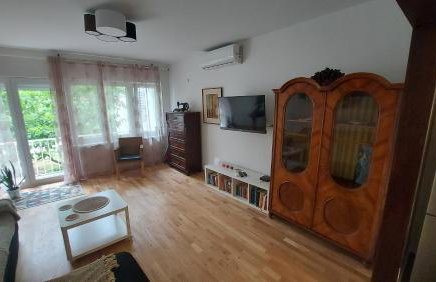 Little cherry - Photo 14