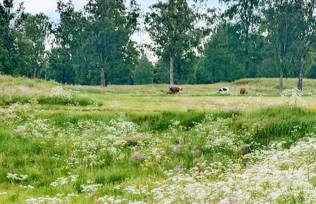 4 Star Holiday Home in Haverud - Foto 13