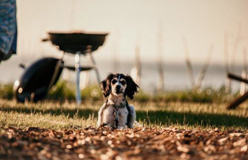 Dome Meadows 3 At Tapnell Farm - Foto 4