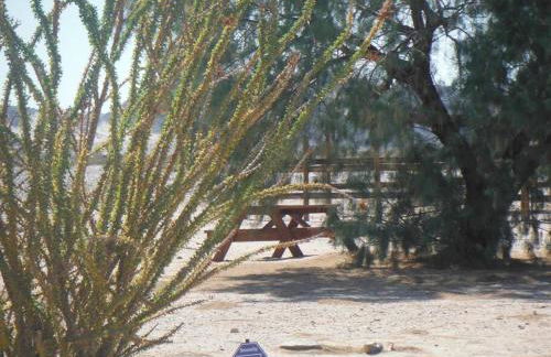 Desert Gem - Foto 55