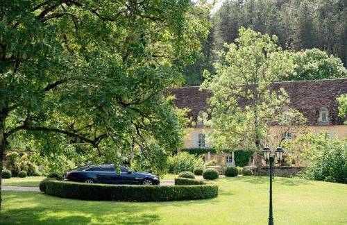 Château Forge du Roy - Foto 22