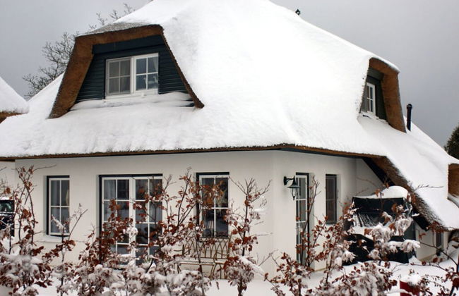 Reethus Star Kicker - Photo 27