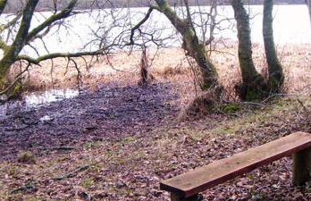 The Willows at Mullans Bay - Foto 39