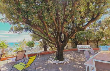 Villa GREG stupenda casa sulla spiaggia con accesso diretto al mare - Foto 20