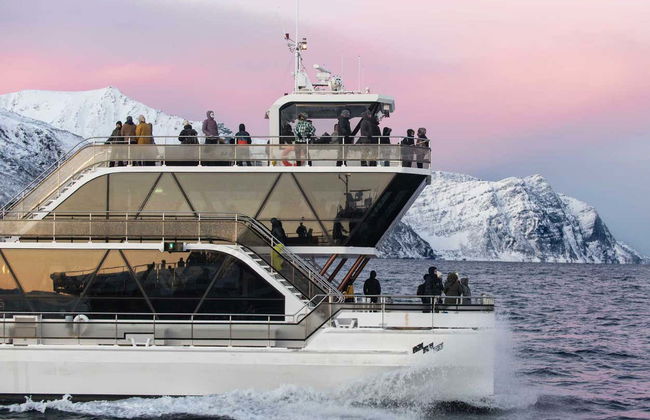 Crociera tra i fiordi artici - Foto 3