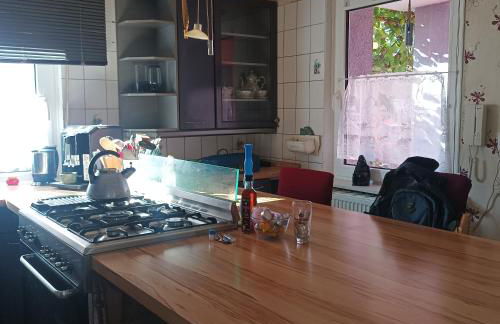 Speyer Vintage Stil Ferienwohnung Hundefreundlich - Foto 7