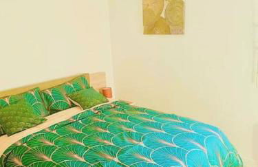 carré de détente JACUZZI JARDIN PISCINE T3 PARKING - Foto 44