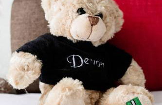 The Coastal Annexe, Stoke Fleming - Foto 11