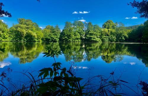 Ferienwohnung Niederlaasphe - Foto 26