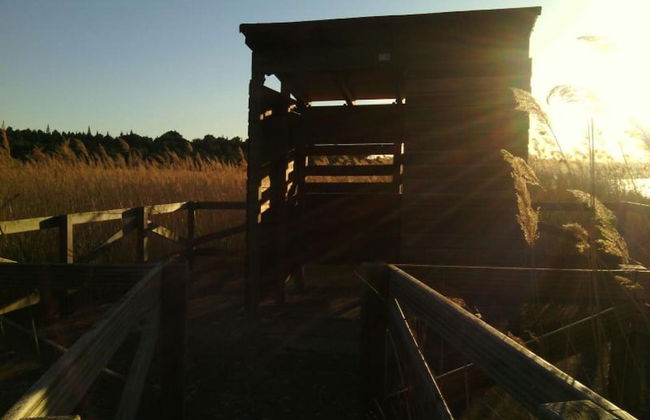 Villa in Rada With Garden and Barbecue - Foto 34