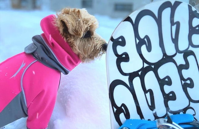 Hakuba Powder Mountain - Foto 70