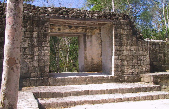 Escursione a Calakmul e Balamkú - Foto 8
