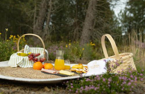 Casas do Freixial - Casa das Flores - Foto 14