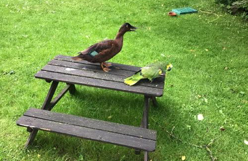 FeWo Spitzweg, Garlstorf - Lüneburger Heide - Foto 50