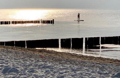 Dünenrose 4 Wolkenlos - Foto 45