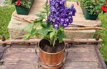 Chalet Renzo - Foto 31