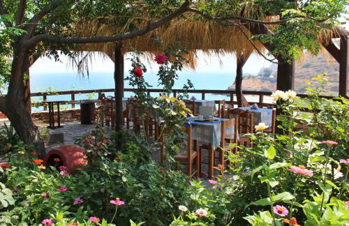 Ikaria Utopia - Cusco Studios - Photo 17