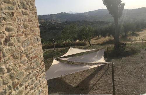 Azienda Agricola Perconti - Foto 37