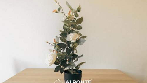 Encanto do Lima Guest House By ALPONTE - Foto 5