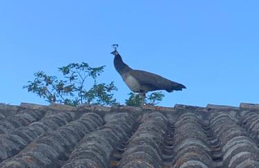 Villa Lidia - Foto 14