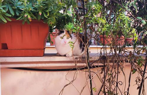 Via Arriano 11 - Foto 2