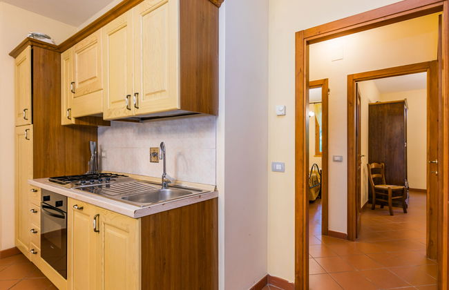 Rosa+Margherita+Lavanda+Ginestra+Gelsomi - Foto 13