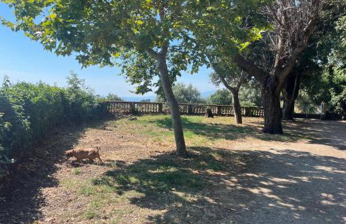 RDC maison de maitre pour 6 personnes avec piscine et jacuzzi - Photo 6
