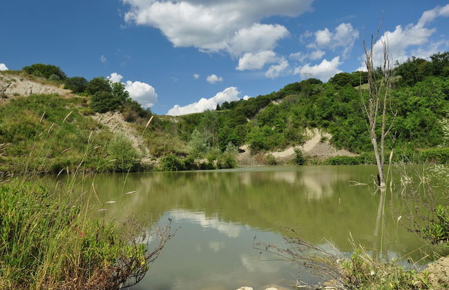 Agriturismo Belmonte Vacanze - Foto 39