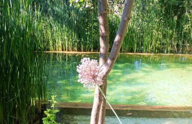 Casas Rurales Camino del Castaño - Foto 51