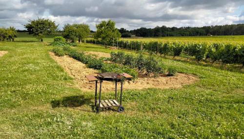 Maison dans les vignes - proche Chenonceau Beauval - Foto 4, Garden
