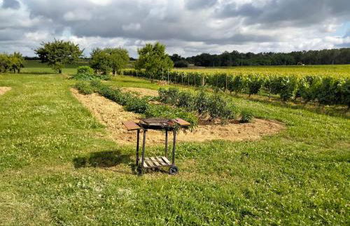 Maison dans les vignes - proche Chenonceau Beauval - Foto 4