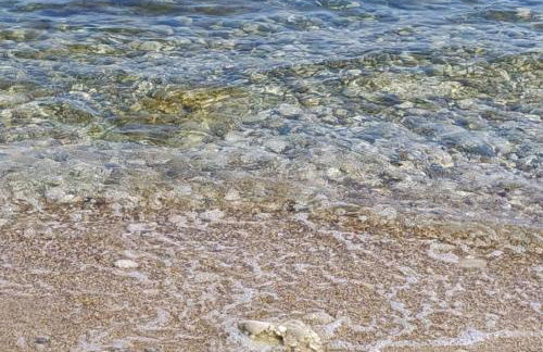 La Magnolia a 500mt dal mare - Foto 44