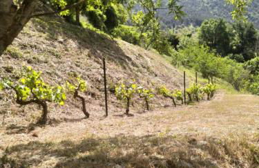 Le Paillier d'Etienne. - Photo 49