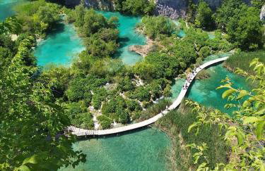 Timber valley - Foto 74