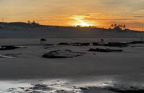 App Elisabeth Kite Village - Foto 19